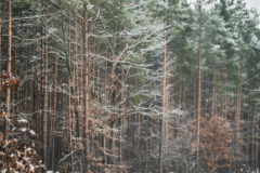 Lovelas_Jesien_2022_Michal_Buczynski-45